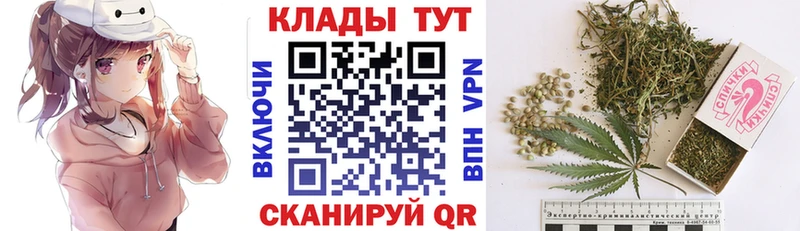 Магазины продажи наркотиков Шлиссельбург Альфа ПВП  COCAIN  МЕТАДОН  Каннабис  Меф 