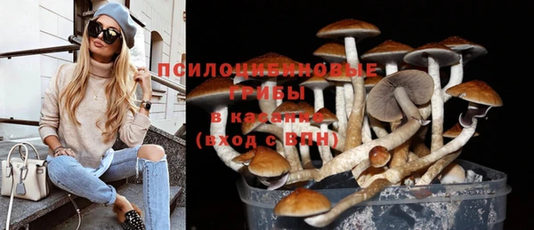 гашиш Арсеньев
