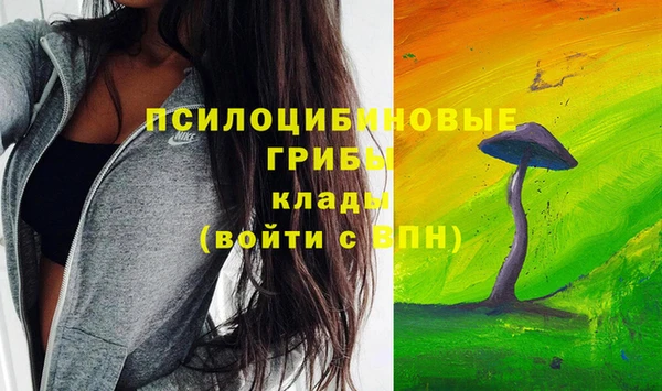 мяу мяу мука Армянск